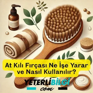 At Kılı Fırçası Ne İşe Yarar ve Nasıl Kullanılır