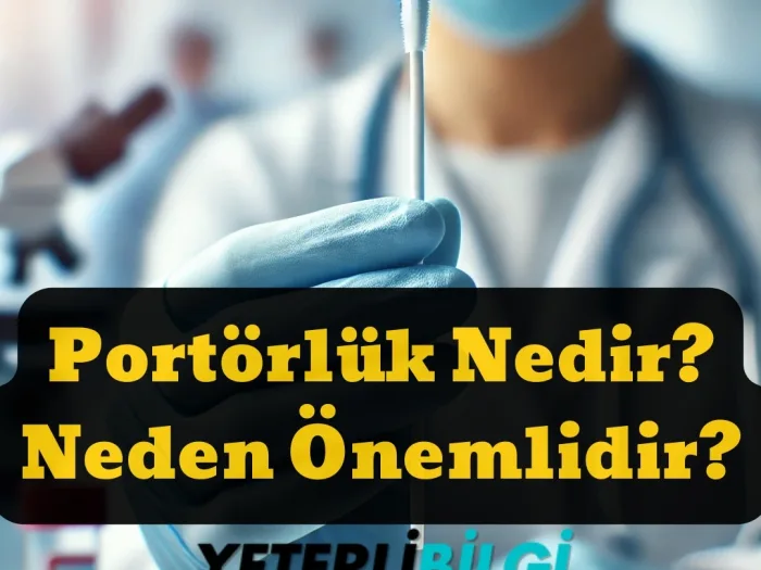 Portörlük Nedir Neden Önemlidir