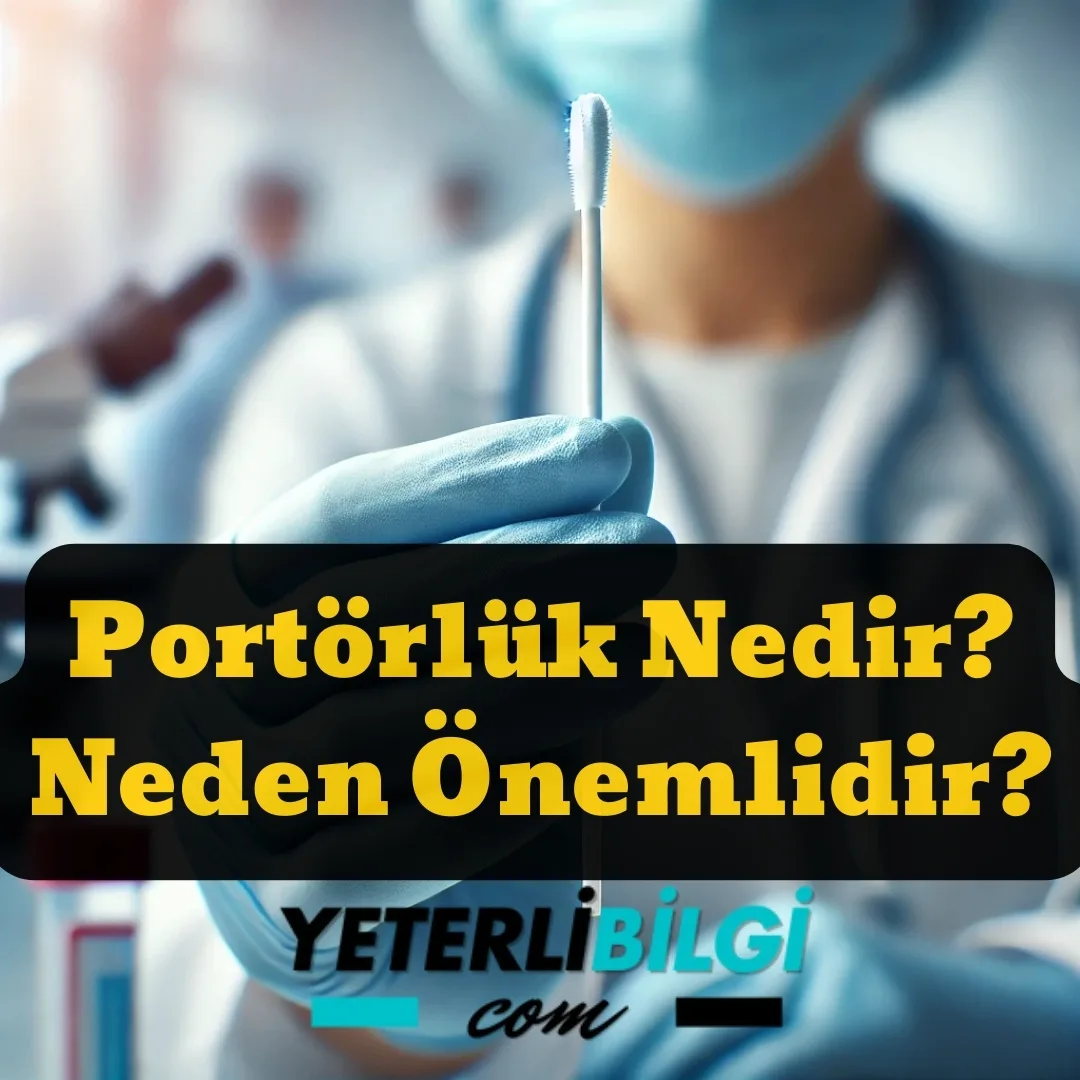 Portörlük Nedir Neden Önemlidir