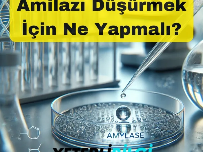 Amilazı Düşürmek İçin Ne Yapmalı