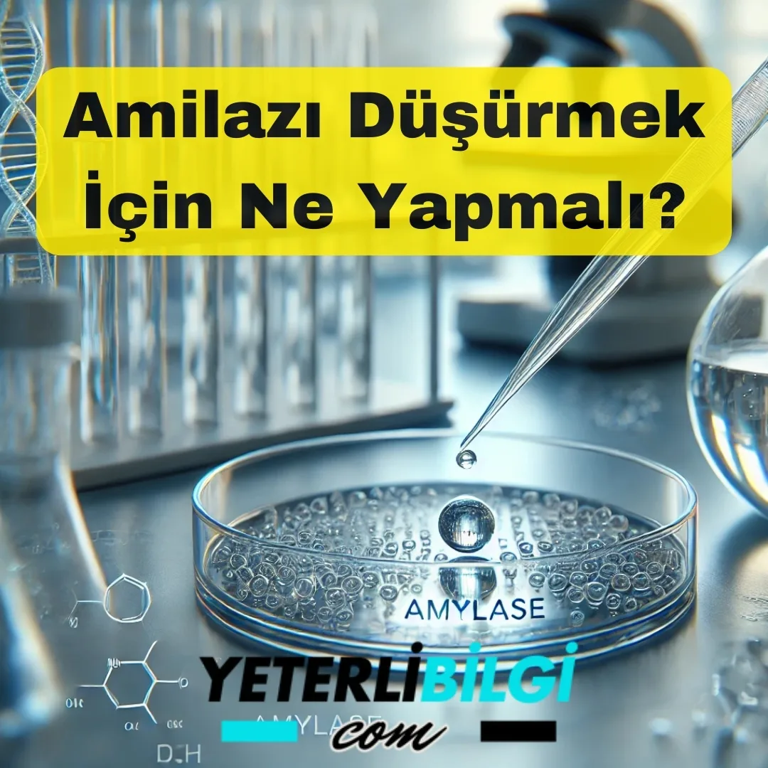 Amilazı Düşürmek İçin Ne Yapmalı