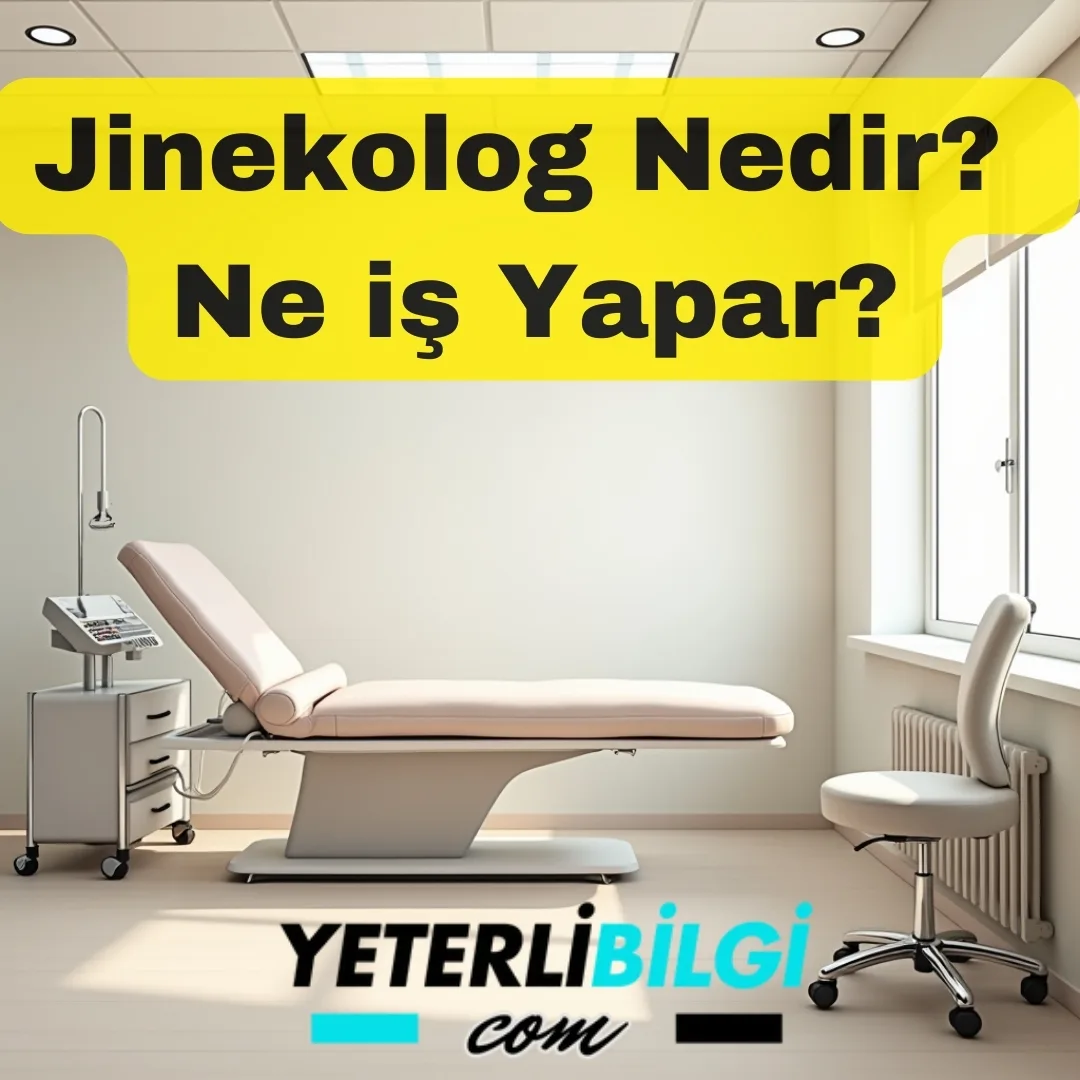 Jinekolog Nedir Neye bakar ve ne iş Yapar