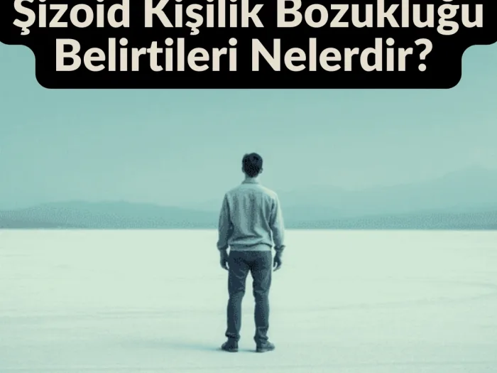 Şizoid Kişilik Bozukluğu Belirtileri Nelerdir Şizoid Kişilik Bozukluğu ve Tedavi Yöntemleri