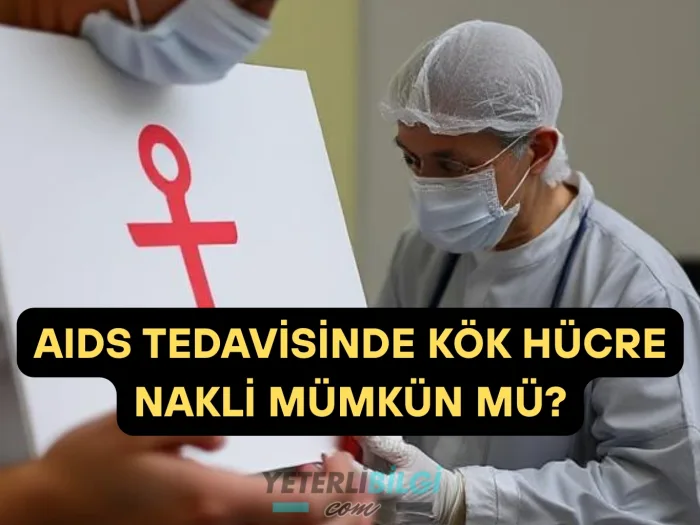 AIDS Tedavisinde Kök Hücre Nakli Mümkün mü